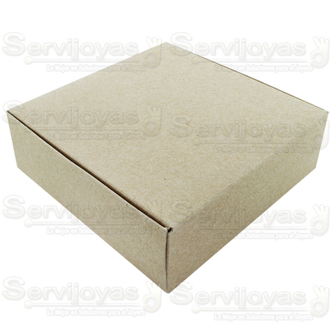Caja Multiusos Grande Kraft Paq.25 pzas 1392.KF