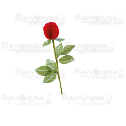 Rosa Con Tallo 3024