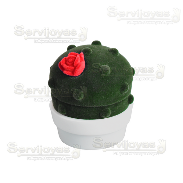 Cactus Medidas: 5x6x5cm 3061