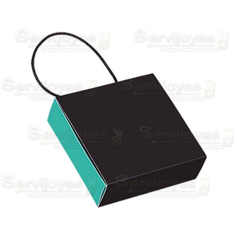 Caja Paris Mediana Negro con Aqua 1181.AQ