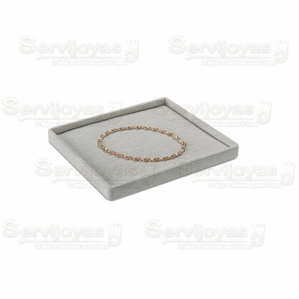 Exhibidor Delux Charola Universal Medidas: 24x21x2.2cm 9970.BG